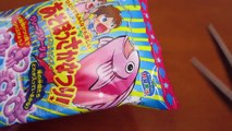 Kracie Fishing for Candy Play Kit! Asobou Sakane Tsuri Candy Fishing Game