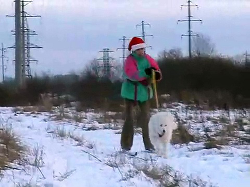 Три белых коня