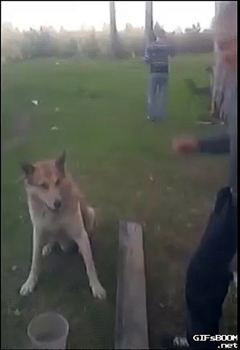 ЗДОРОВО МУЖИК
