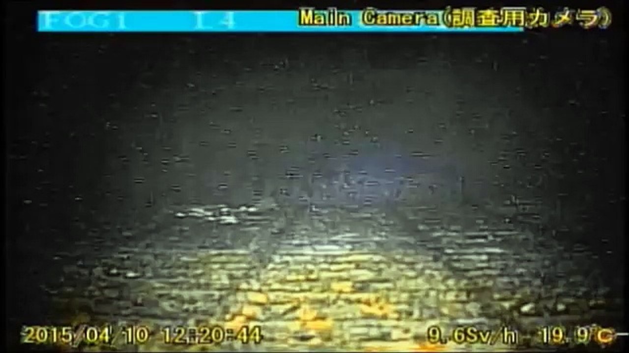 Robot Offers First Glimpse Into Melted Fukushima Reactor