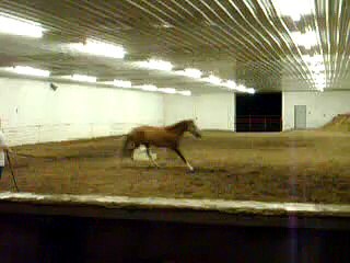 Forever In Blue Jeans: Lunging Aug, 2008