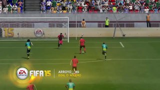FIFA 15 - Best Goals of the Week - Round 17