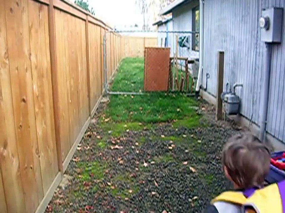 Escape Artist Felix