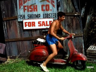 Flipper S03E20 Dolphin For Ransom