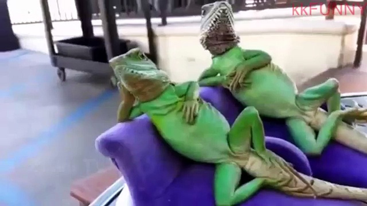 The best funny of 2016 Os Melhores Videos Engraçados Whatsapp Funny Fails Tombos e Compilations e Sustos de 2016