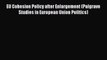 Read EU Cohesion Policy after Enlargement (Palgrave Studies in European Union Politics) Ebook
