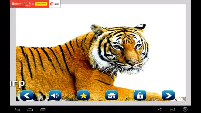 Развивающие мультики для детей! Животные и птицы