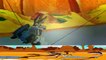 Best Road Runner Cartoon - RoadRunner and Wile E Coyote Episode 1 + 2 + 3