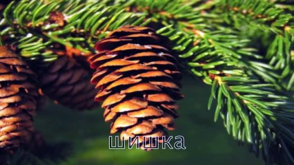 Обучающий Развивающий мультфильм для самых маленьких:100 Слов Для Детей