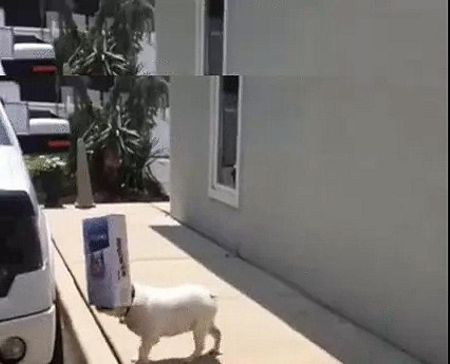 Never give up your box, never!