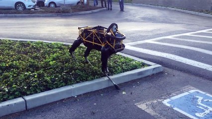 Fido vs Spot — Animal vs Robot