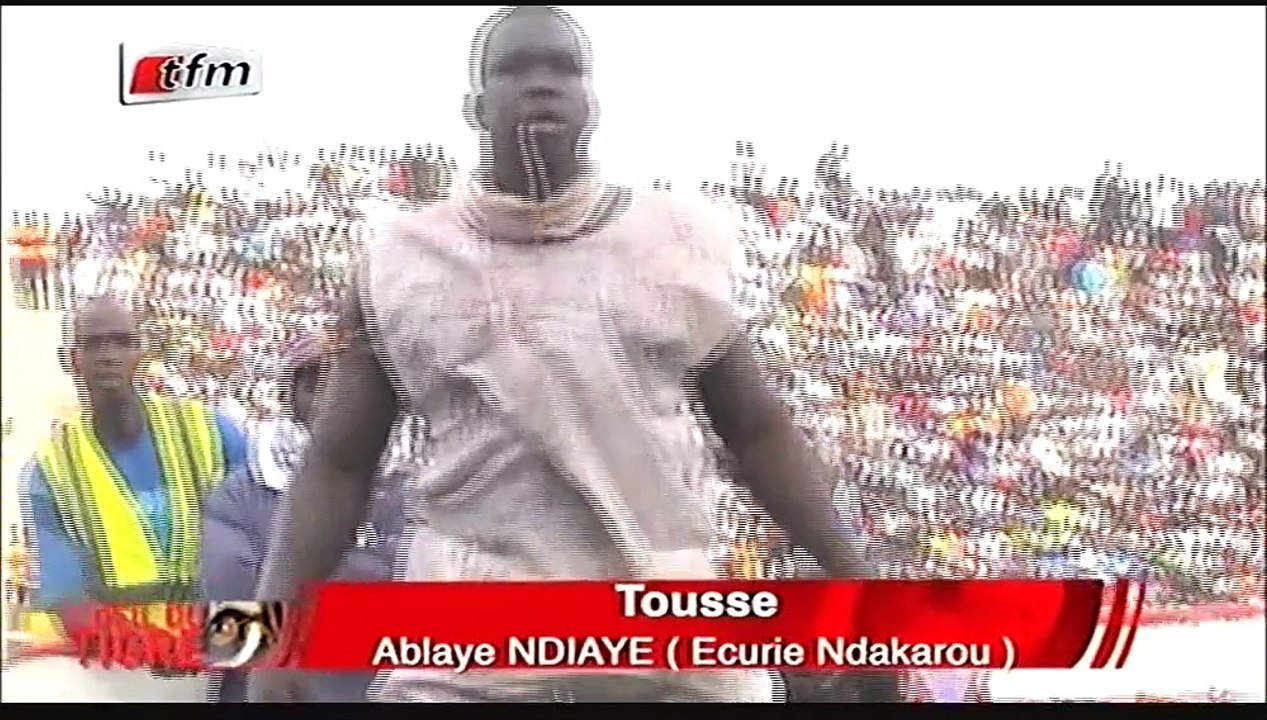 L'oeil du tigre - 01 Mars 2016 - Tousse