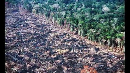 We're destroying our Planet