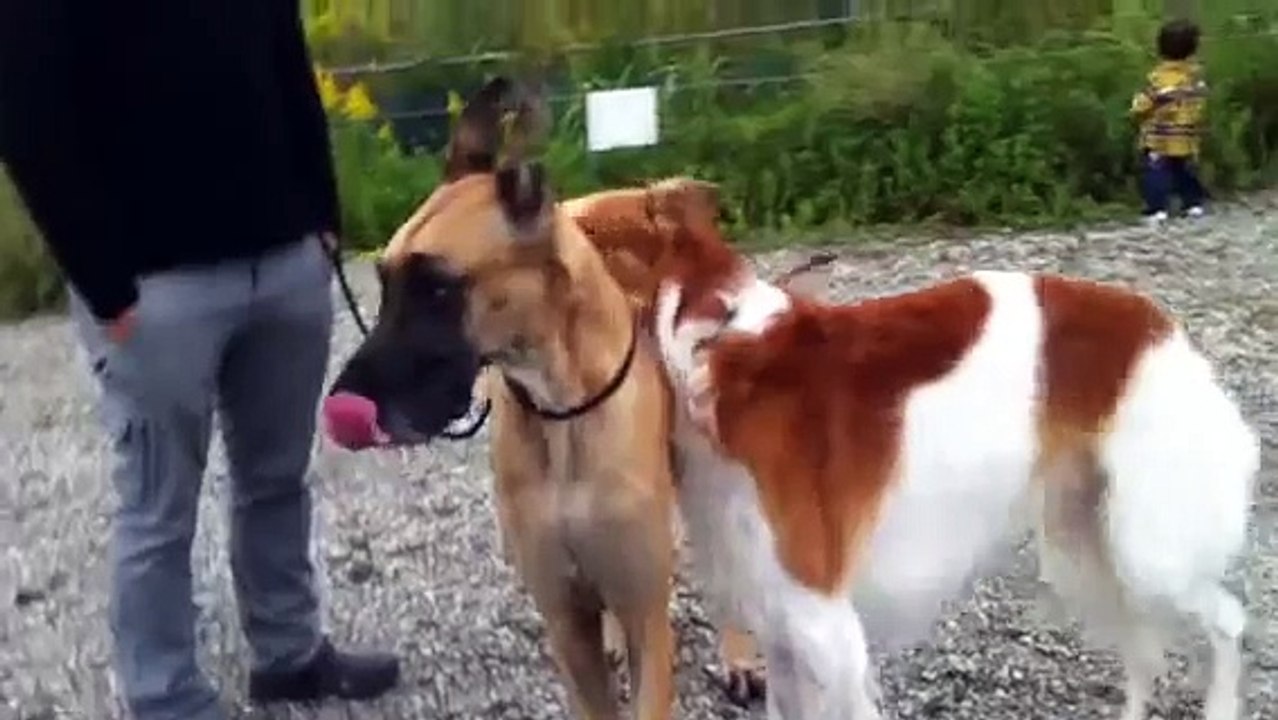 じゃむ君とラウルくん