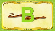 Multipédia des animaux. La lettre B le Boa