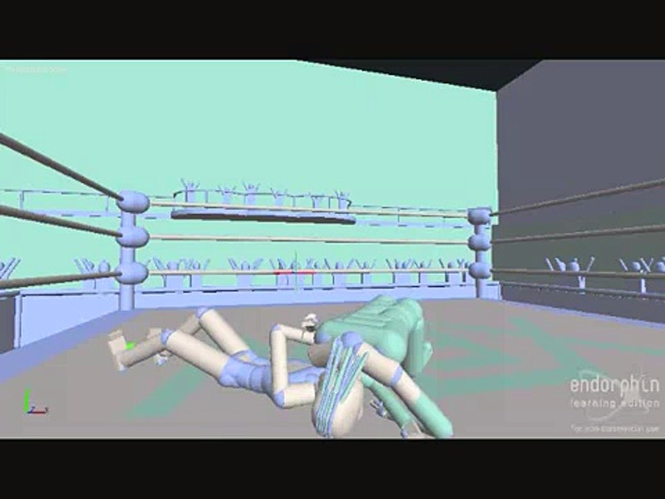 XEW: Xtreme Endorphin Wrestling *part 1*