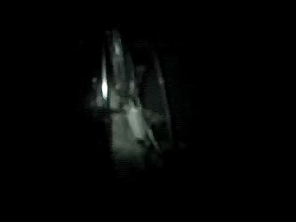 Barrett's Haunting 2008