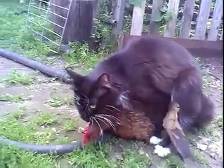 Found this on the internet. WTF?????