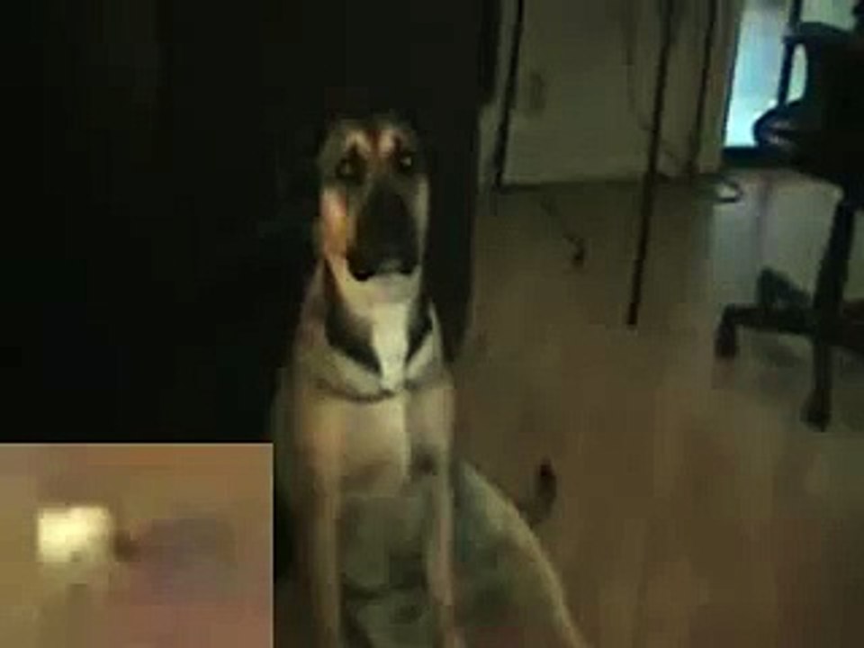 ALIENS ARE EVERYWHERE ASK NYC812