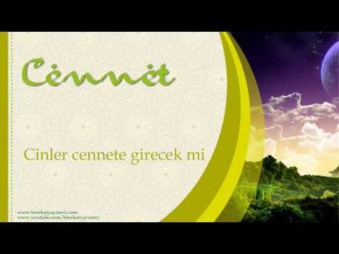 Cinler Cennete Girecek mi - Sorularla İslamiyet
