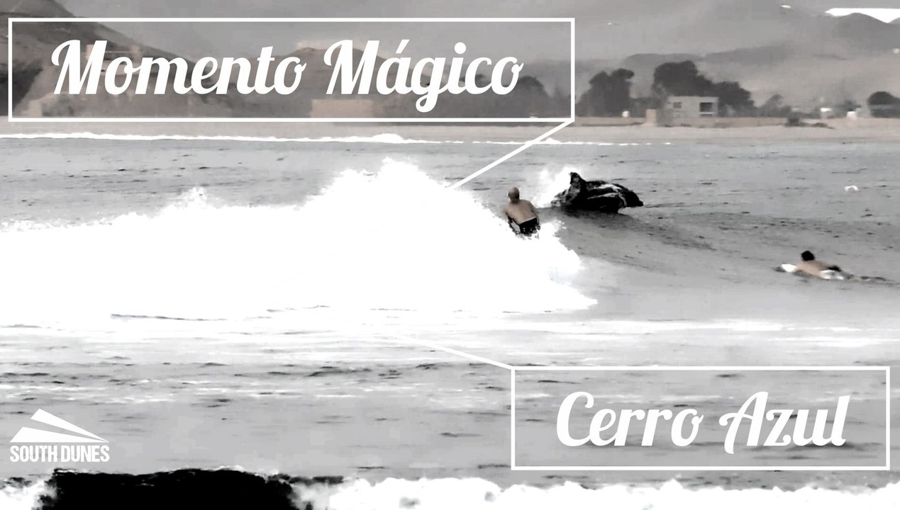 Cerro Azul Beach - Surf with Dolphin