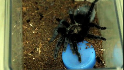 수지출장안마 【OIO↔❾❾❽❽↔2311】 선입금없는 후불제 수지출장마사지