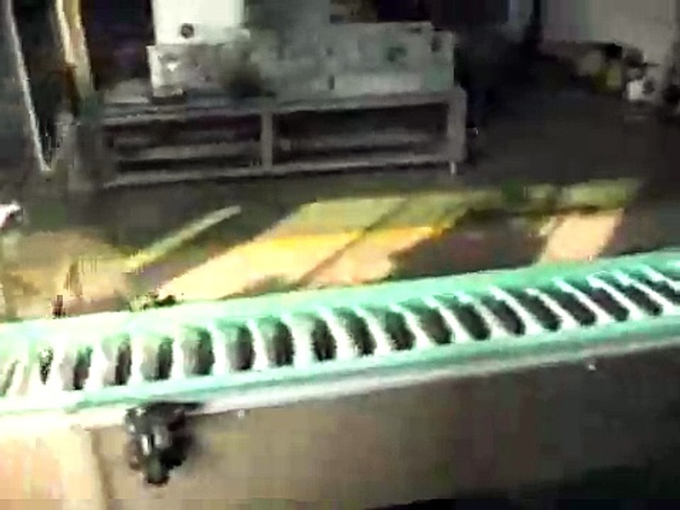 Automatic cartoning machine