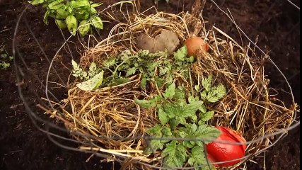 Garden Style ~ Digging in the Dirt