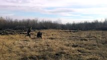Тренировка ополчения ДНР - Training militias Novorossia