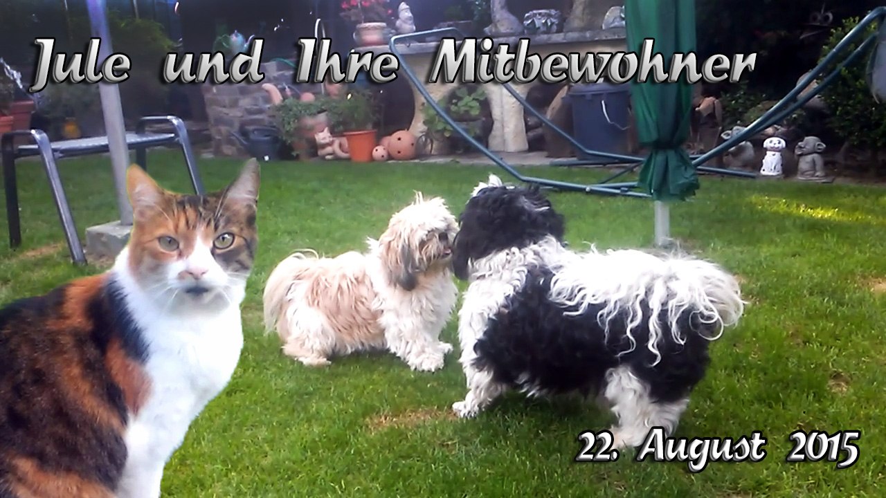 22.08.2015 - Jule und ihre Tierische Mitbewohner
