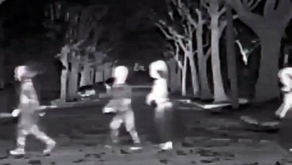 Audi night vision assistant Halloween Commercial - Trick- Or Treat