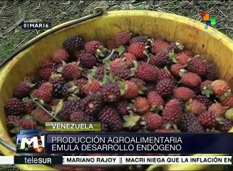 Venezolanos articulan esfuerzos para impulsar motor agroalimentario