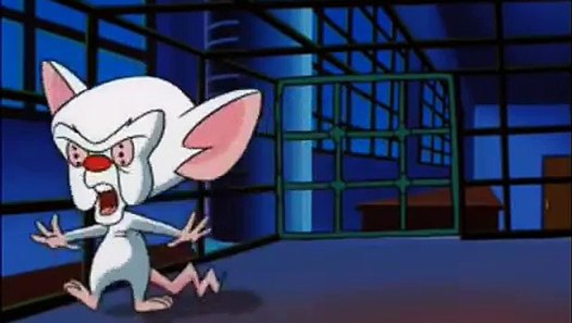The Same Thing We Do Every Night. - A Pinky and The Brain Compilation ...