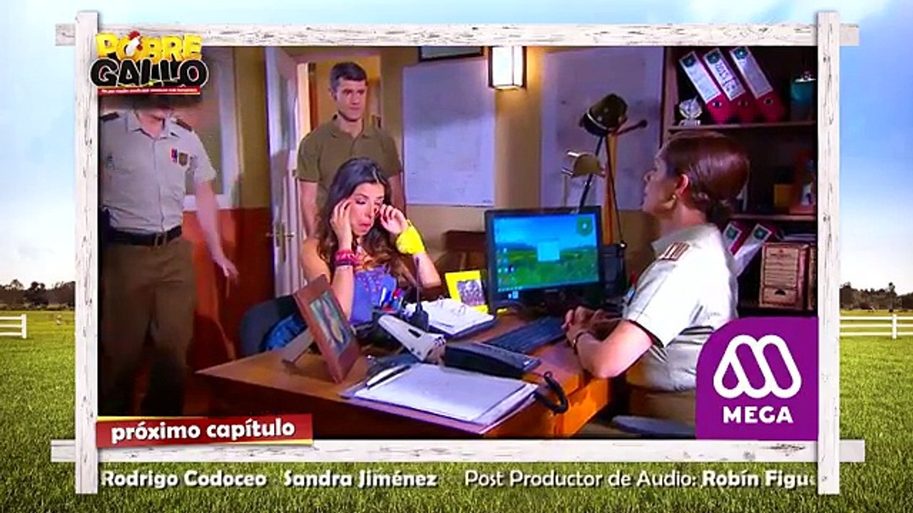 42 Avance Pobre Gallo