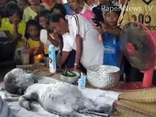 Buffalo gives birth to human baby