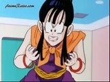 Gohan owns Chi Chi