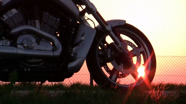 Harley Davidson Duel Night Rod vs. V Rod Muscle