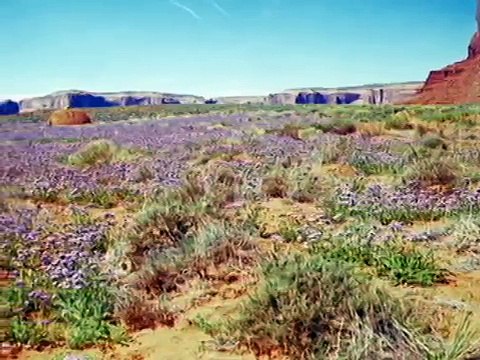 Photos and 1000's of Words at the Whittier Art Gallery