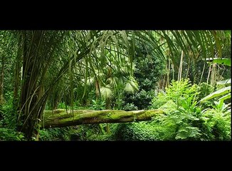 Informativo Mundial das Missões - 23 de Fevereiro de 2013 HD