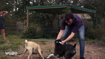 Sony a7 vs Sony VG20