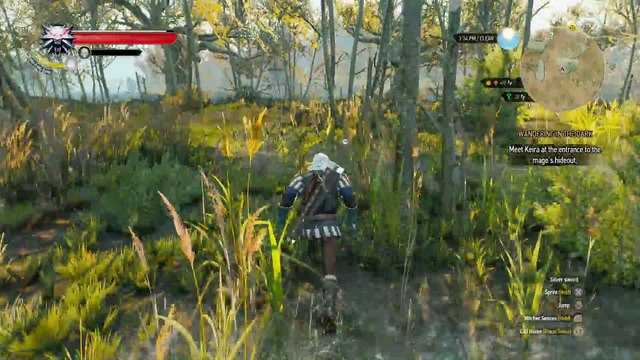 THE WITCHER 3 WALKTHROUGH PART 33 - KEIRA METZ NAKED CUTSCENE!)