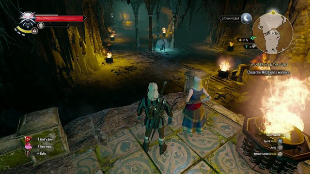 THE WITCHER 3 WALKTHROUGH PART 36 - WANDERING IN THE DARK