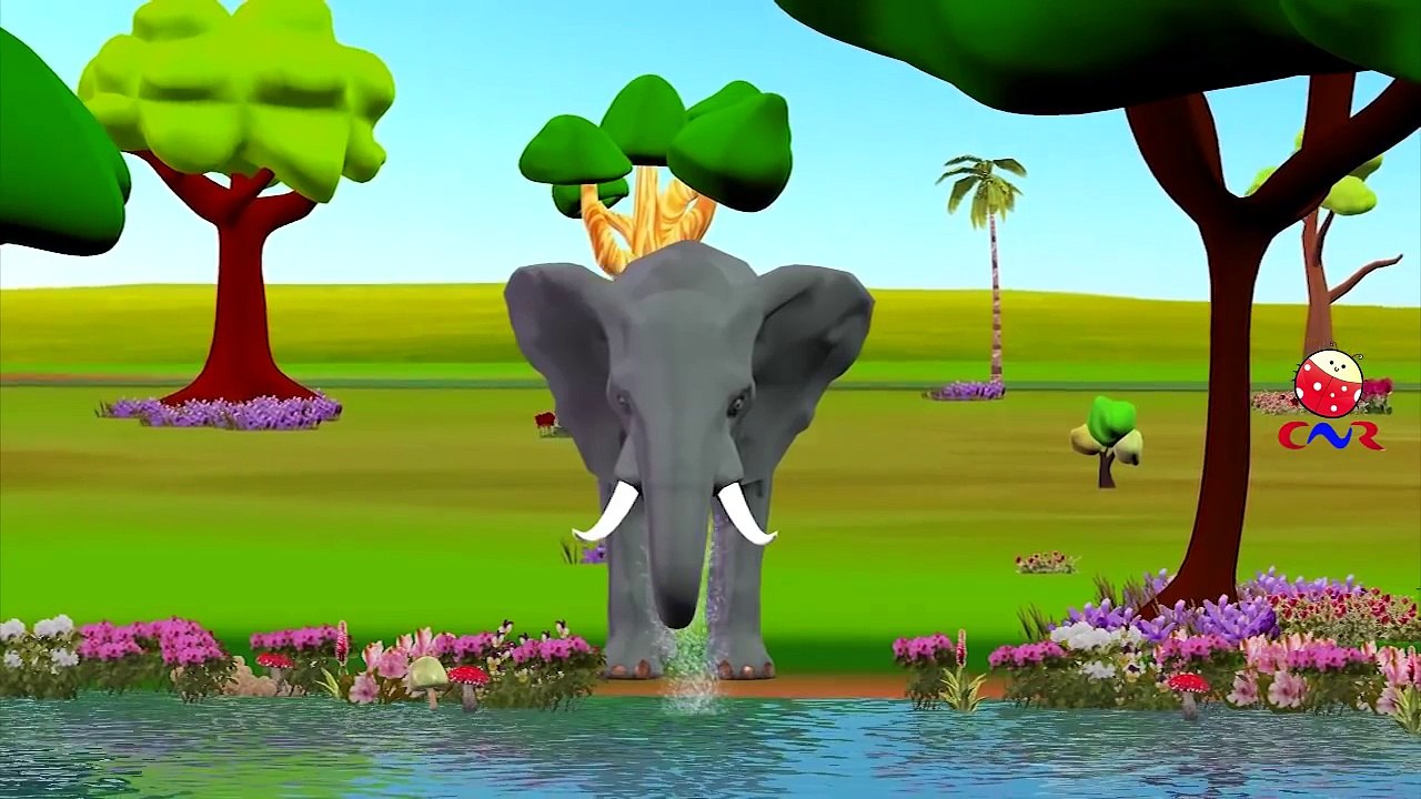 Lion Vs Elephant Cartoons Singing Finger Family Rhymes And More Children Nursery Rhymes