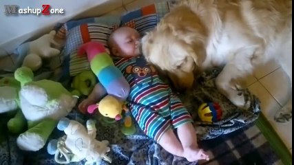 Best Of Funny Cats And Dogs Love Babies Compilation 2015 __ NEW