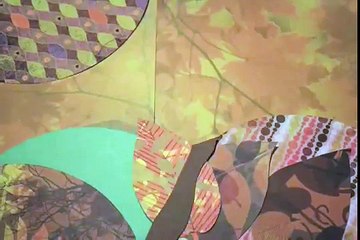 Why Mosquitos Buzz in Peoples Ear - Collin Breit - Stop Motion