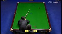 Ronnie osullivan just a little of snooker