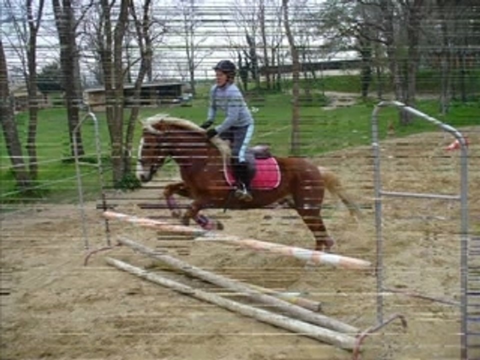 Stage Domaine Equestre du Moulin