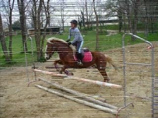 Stage Domaine Equestre du Moulin