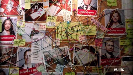 Suits Briefs: The Maltease Thumbdrive | Dave