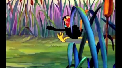 Daffy Ducks Crazy Laugh Compilation